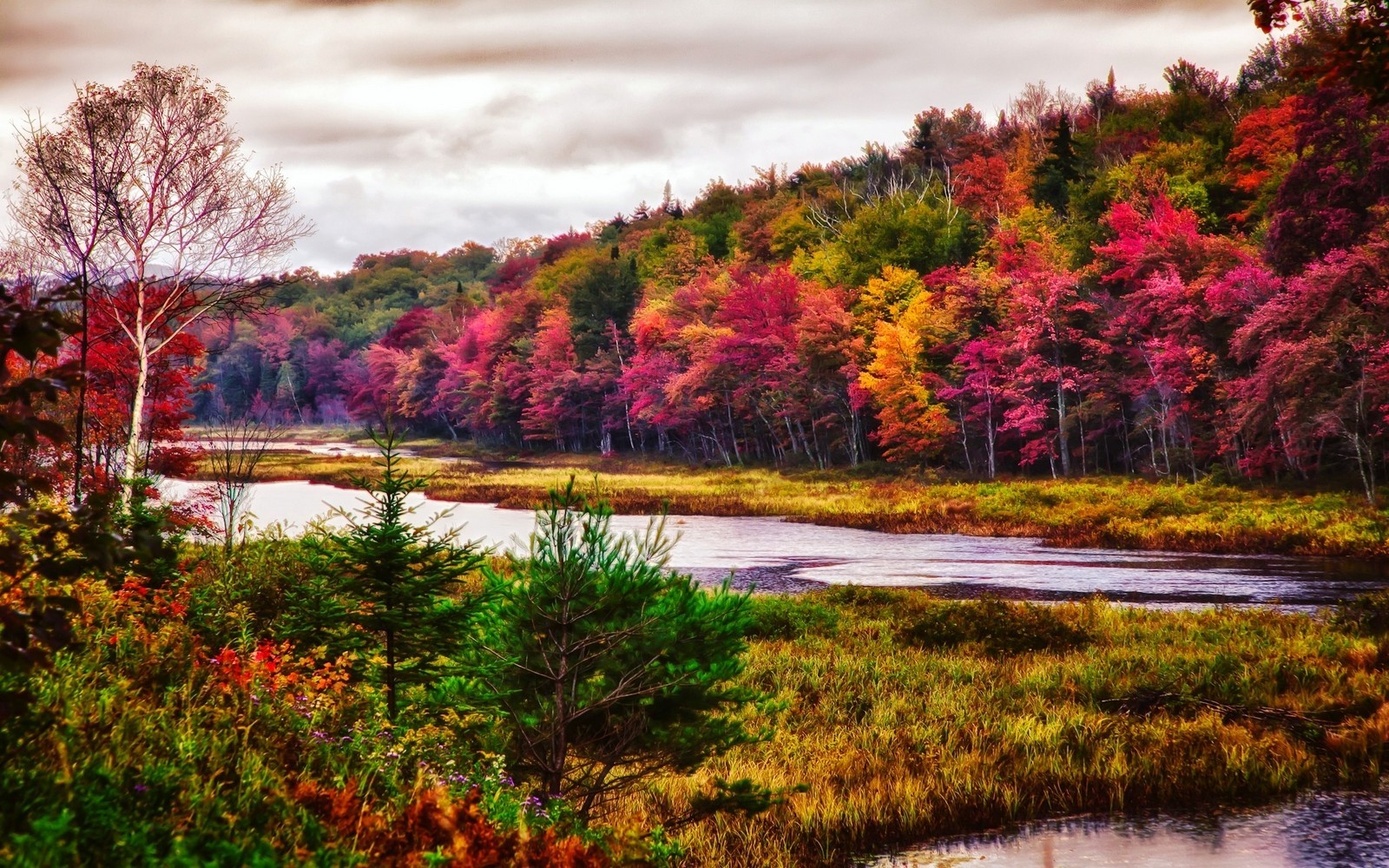 nature, Landscape, Trees, River, Fall, Forest, Colorful, New York State, Grass, Mountain, Clouds Wallpaper