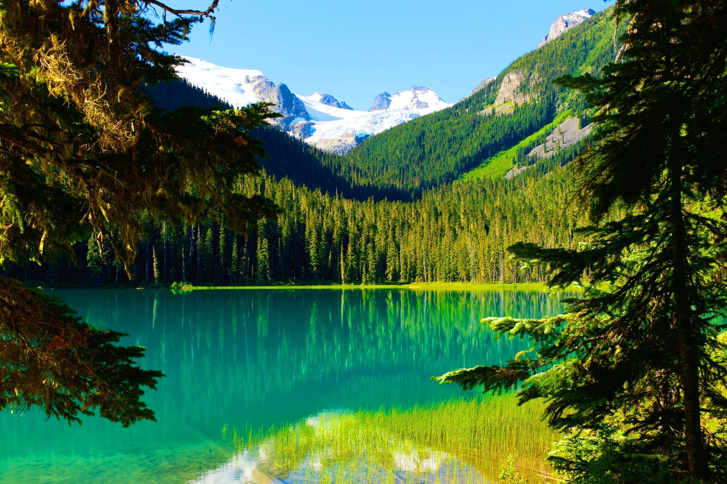 nature, Landscape, Trees, Lake, Mountain, Forest, Summer, Water, Snowy Peak, British Columbia, Canada, Reflection, Pine Trees Wallpaper