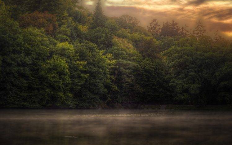 nature, Landscape, Sunrise, Forest, Mist, Lake, Trees, Clouds, Sky HD Wallpaper Desktop Background