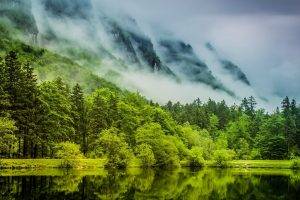 nature, Landscape, Green, Lake, Mist, Forest, Mountain, Water, Spring, Trees, Clouds, Germany