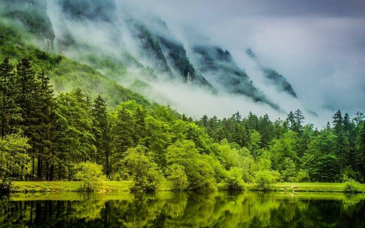 nature, Landscape, Green, Lake, Mist, Forest, Mountain, Water, Spring, Trees, Clouds, Germany HD Wallpaper Desktop Background