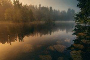 nature, Landscape, River, Calm, Water, Mist, Forest, Sunrise, Finland, Stones, Trees, Reflection