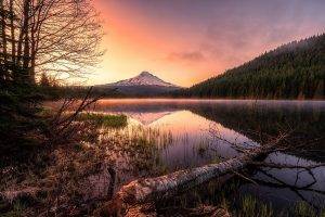 landscape, Nature, Lake, Mist, Forest, Mountain, Snowy Peak, Reflection, Water, Trees, Oregon, Sunrise, Calm