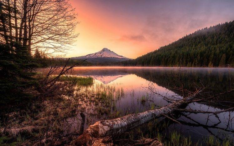 landscape, Nature, Lake, Mist, Forest, Mountain, Snowy Peak, Reflection, Water, Trees, Oregon, Sunrise, Calm HD Wallpaper Desktop Background