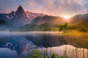 nature, Landscape, Lake, Sunrise, Reflection, Water, Summer, Mountain, Mist, Norway, Trees, Forest, Wildflowers