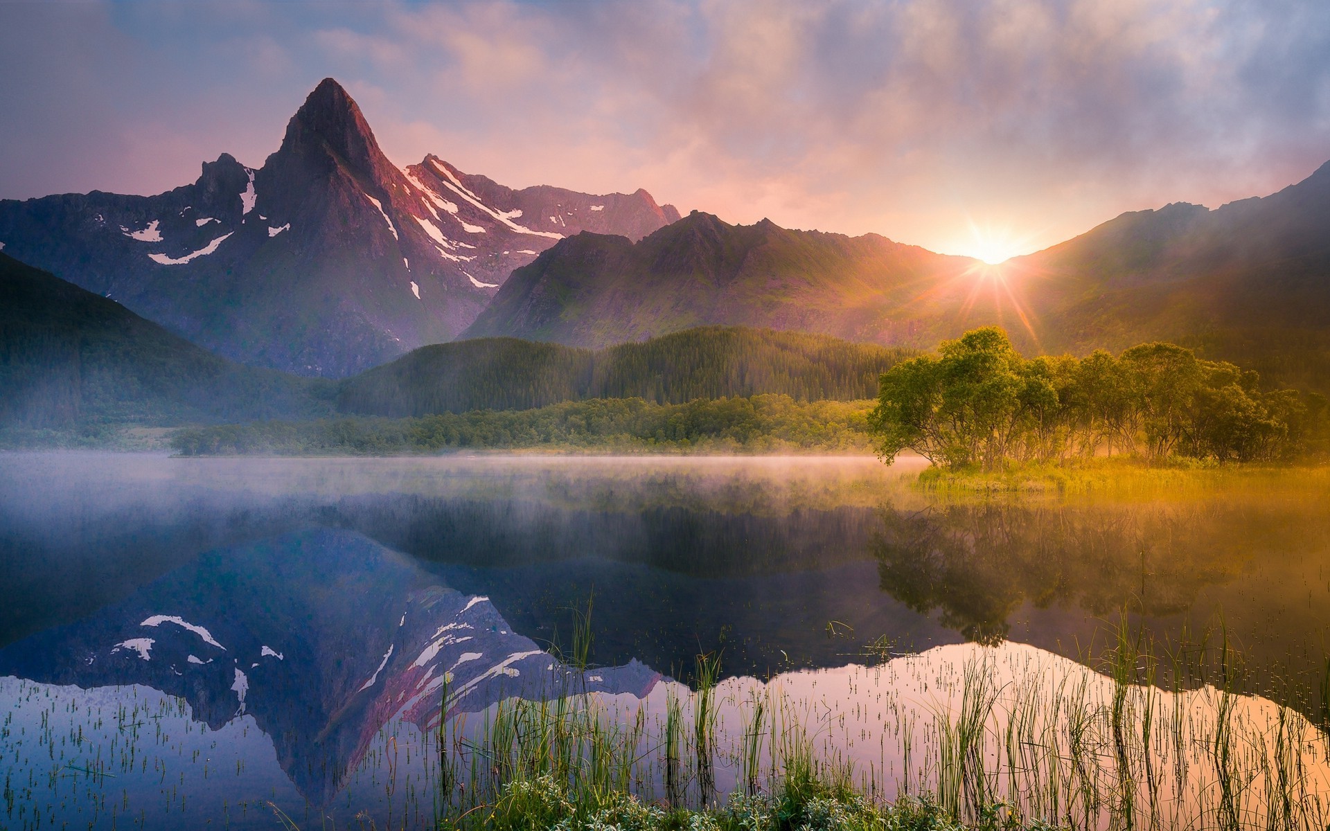 nature, Landscape, Lake, Sunrise, Reflection, Water, Summer, Mountain, Mist, Norway, Trees, Forest, Wildflowers Wallpaper