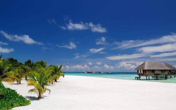 nature, Landscape, Beach, Maldives, Palm Trees, Sand, Tropical, Resort, Sea, Summer, Bungalow, Architecture, Island HD Wallpaper Desktop Background