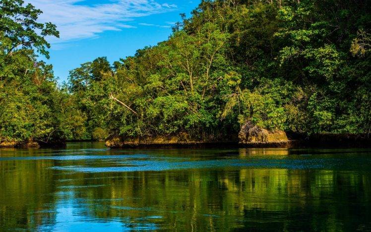 Raja Ampat, Island, Forest, Tropical, Indonesia, Beach, Nature, Sea, Landscape, Water, Green, Foliage HD Wallpaper Desktop Background