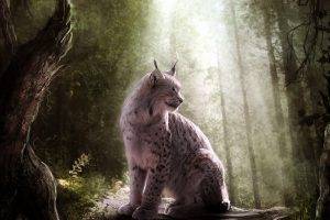 animals, Lynx, Fantasy Art