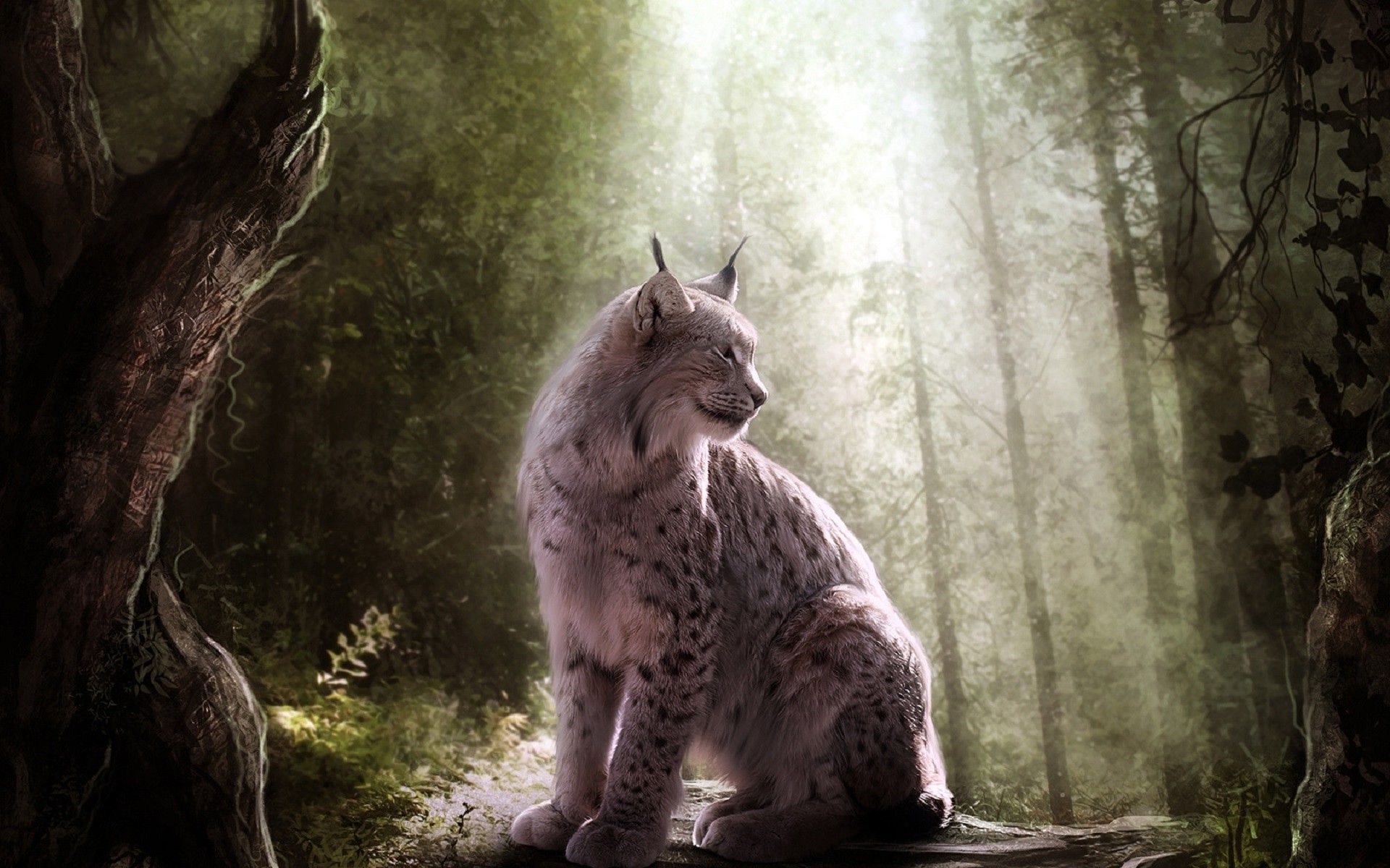 animals, Lynx, Fantasy Art Wallpaper