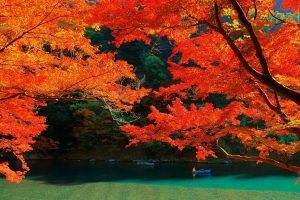 nature, Landscape, Lake, Trees, Fall, Colorful, Kyoto, Leaves, Water, Japan