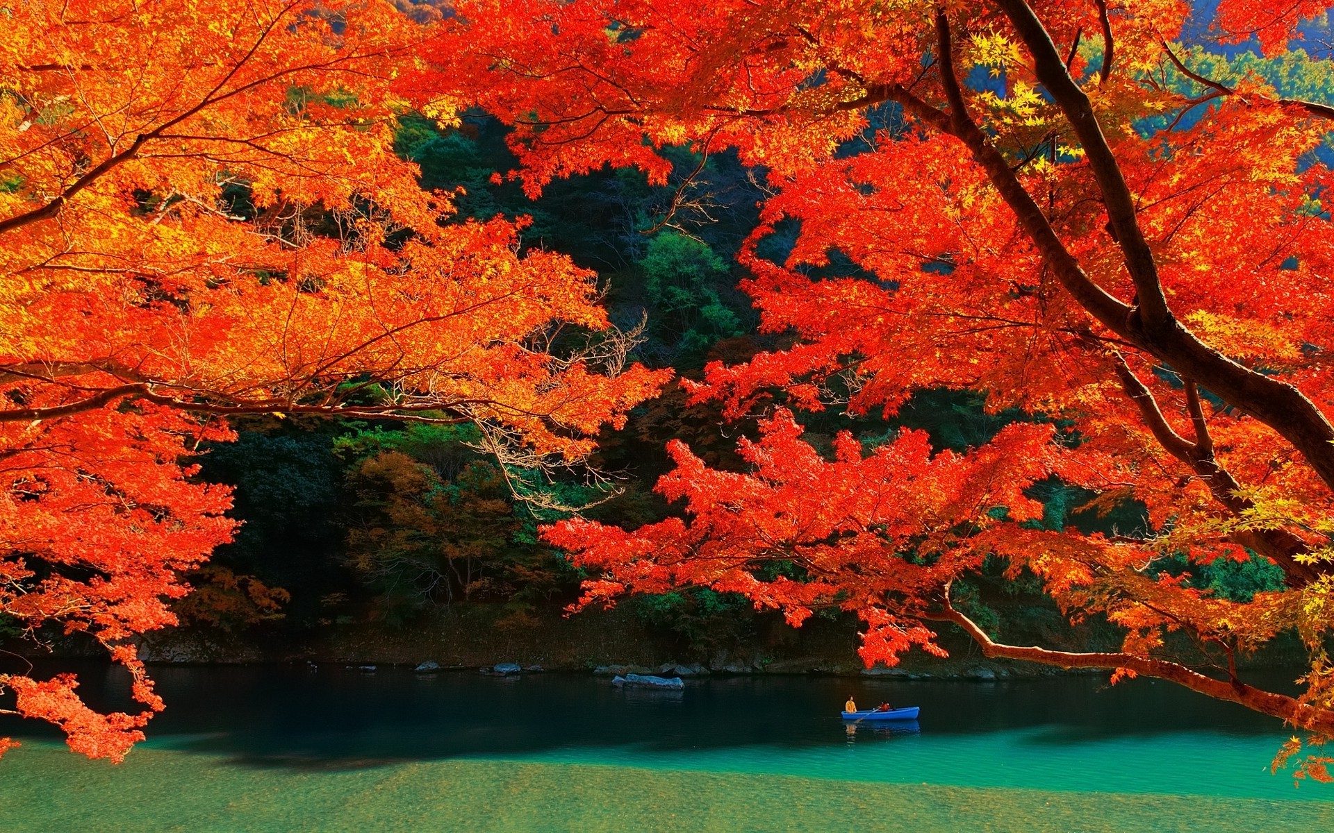 nature, Landscape, Lake, Trees, Fall, Colorful, Kyoto, Leaves, Water, Japan Wallpaper