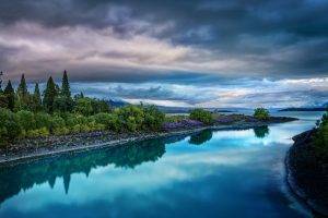 nature, Landscape, Wildflowers, Trees, Calm, River, Water, Overcast, Clouds