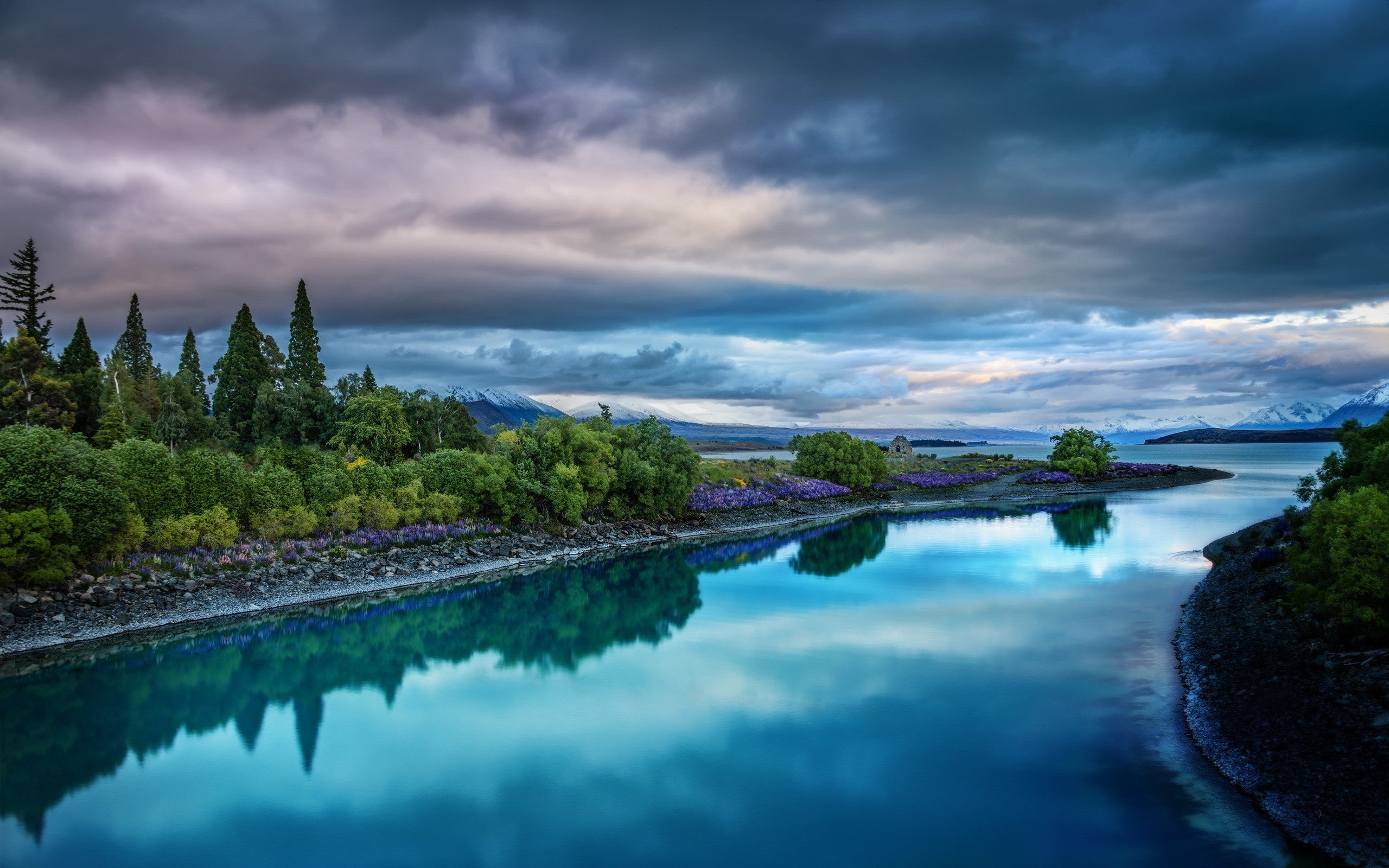 nature, Landscape, Wildflowers, Trees, Calm, River, Water, Overcast, Clouds Wallpaper