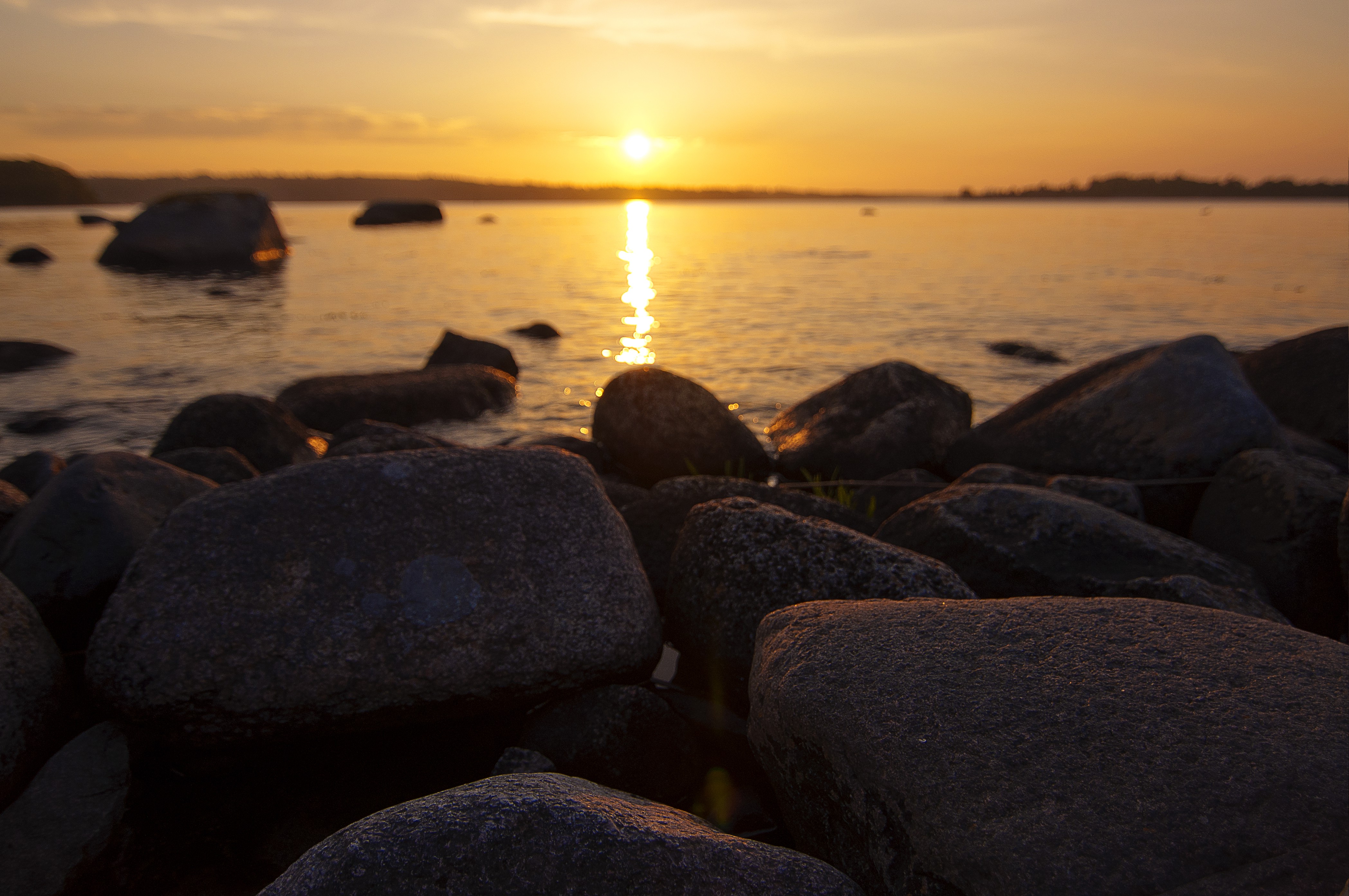 nature Wallpaper