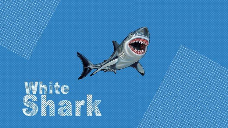 shark, Animals, Pop Art HD Wallpaper Desktop Background