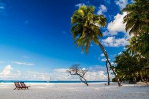 beach, Chair, Morning, Nature, Palm Trees, White, Sand, Blue, Sky, Tropical, Landscape, Maldives, Island, Sea