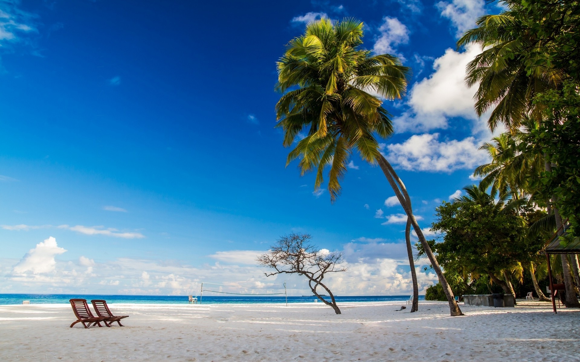 beach, Chair, Morning, Nature, Palm Trees, White, Sand, Blue, Sky, Tropical, Landscape, Maldives, Island, Sea Wallpaper
