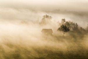mist, Nature, Landscape, Trees, Evening, Shrubs, Hut, Grass, Hill