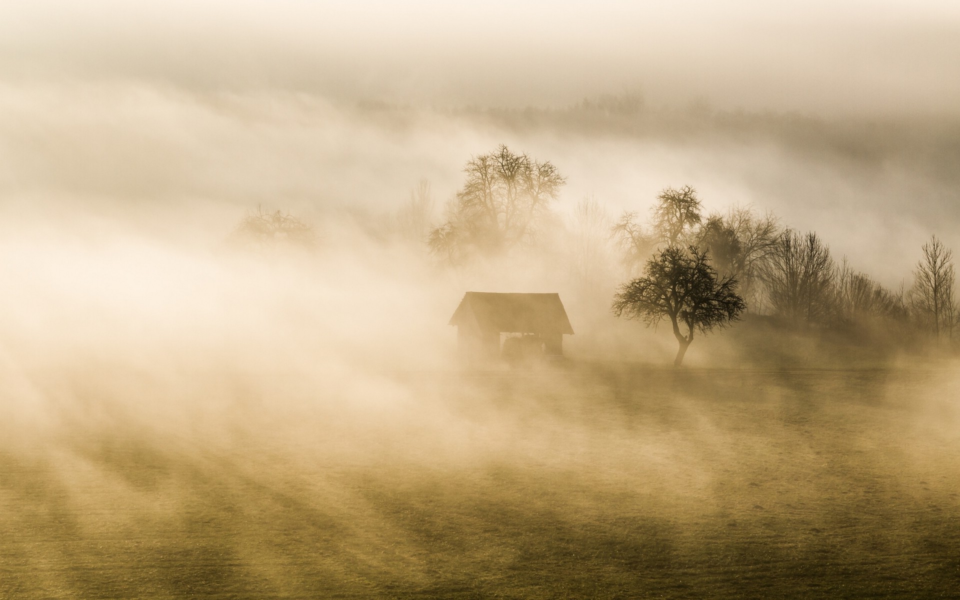 mist, Nature, Landscape, Trees, Evening, Shrubs, Hut, Grass, Hill Wallpaper