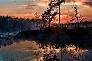 sunrise, Mist, Trees, Swamp, Reflection, Nature, Landscape, Florida, Sky, Clouds, Water
