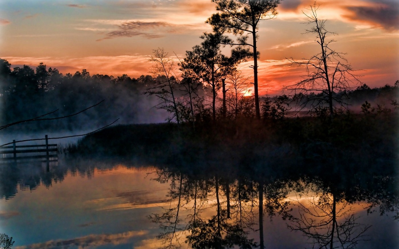 sunrise, Mist, Trees, Swamp, Reflection, Nature, Landscape, Florida, Sky, Clouds, Water Wallpaper