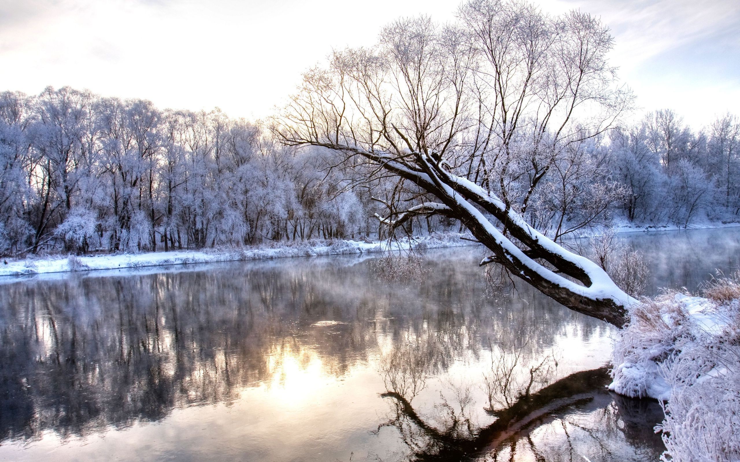 nature, Landscape, Reflection, Snow Wallpaper