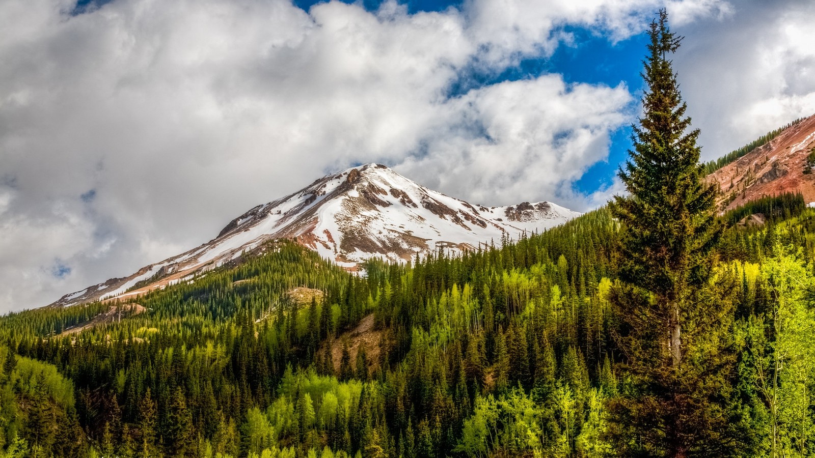 snowy Peak, Mountain, Nature, Landscape, Colorado, Forest, Clouds, Pine Trees Wallpaper