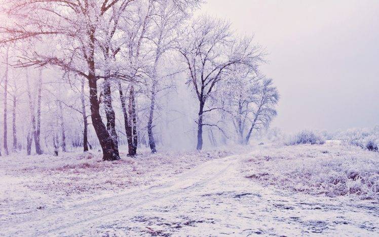 nature, Trees, Snow, Winter, Mist, Path, Landscape, White HD Wallpaper Desktop Background