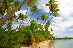 nature, Landscape, Tropical, Island, Beach, French Polynesia, Sea, Palm Trees, White, Sand, Clouds, Summer, Shrubs, Green