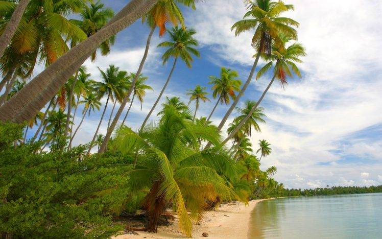 nature, Landscape, Tropical, Island, Beach, French Polynesia, Sea, Palm Trees, White, Sand, Clouds, Summer, Shrubs, Green HD Wallpaper Desktop Background