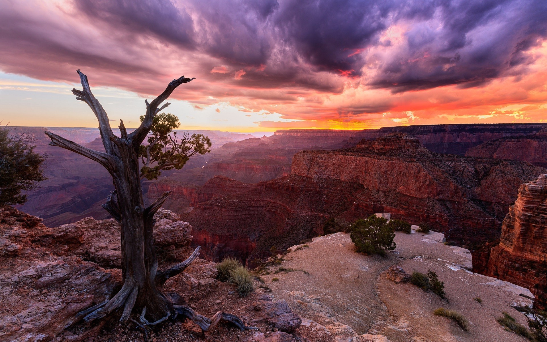 Nature Landscape Sunset Canyon Clouds Trees Grand Canyon Usa