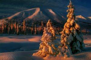 winter, Forest, Nature, Landscape, Mountain, Trees, Snow, Sunrise, Clouds, Cold