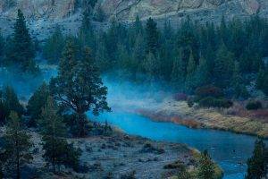 nature, Landscape, River, Mist, Forest, Oregon, Morning, Shrubs, Trees, Mountain, Grass, Blue, Water