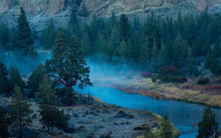 nature, Landscape, River, Mist, Forest, Oregon, Morning, Shrubs, Trees, Mountain, Grass, Blue, Water HD Wallpaper Desktop Background