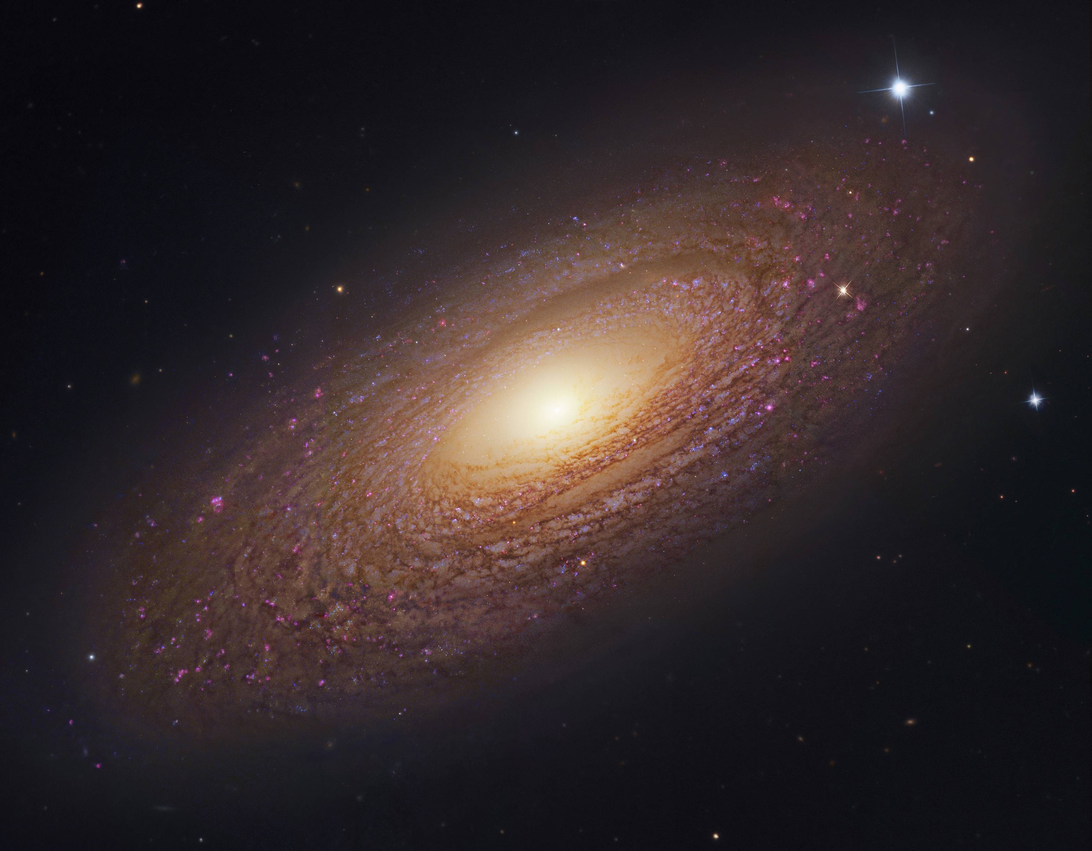 space, Galaxy, Ngc 6503 Wallpaper