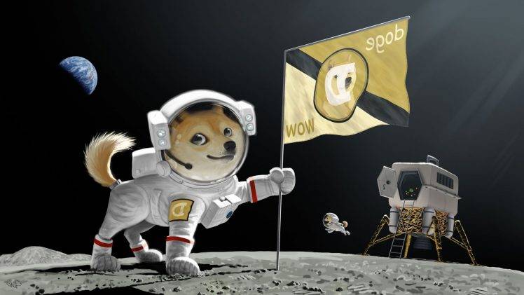 doge, Space, Moon, Artwork HD Wallpaper Desktop Background