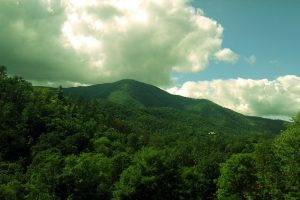 Tennessee, Smoky Mountains, Forest, Mountain, Landscape