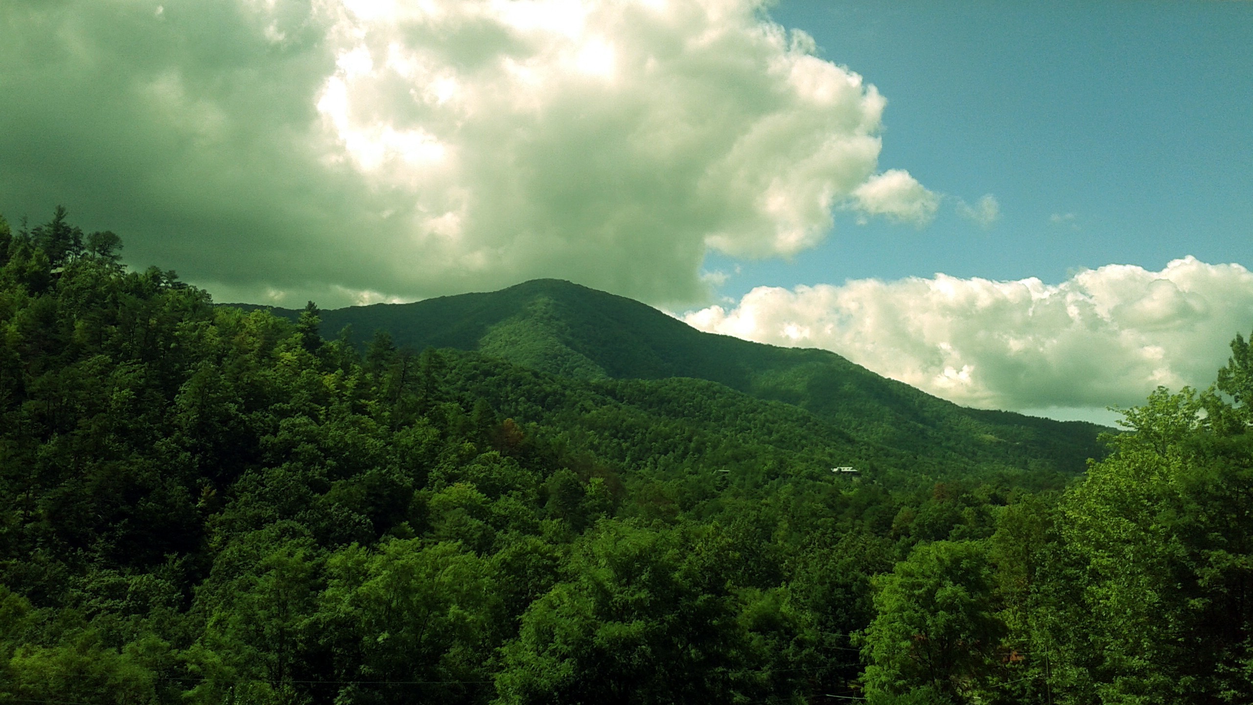 Tennessee, Smoky Mountains, Forest, Mountain, Landscape Wallpaper