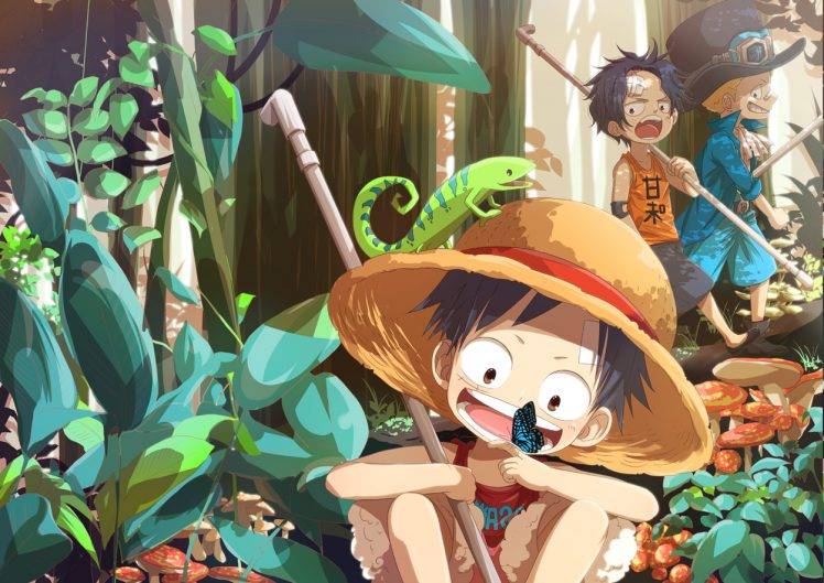One Piece, Monkey D. Luffy, Sabo, Portgas D. Ace HD Wallpaper Desktop Background