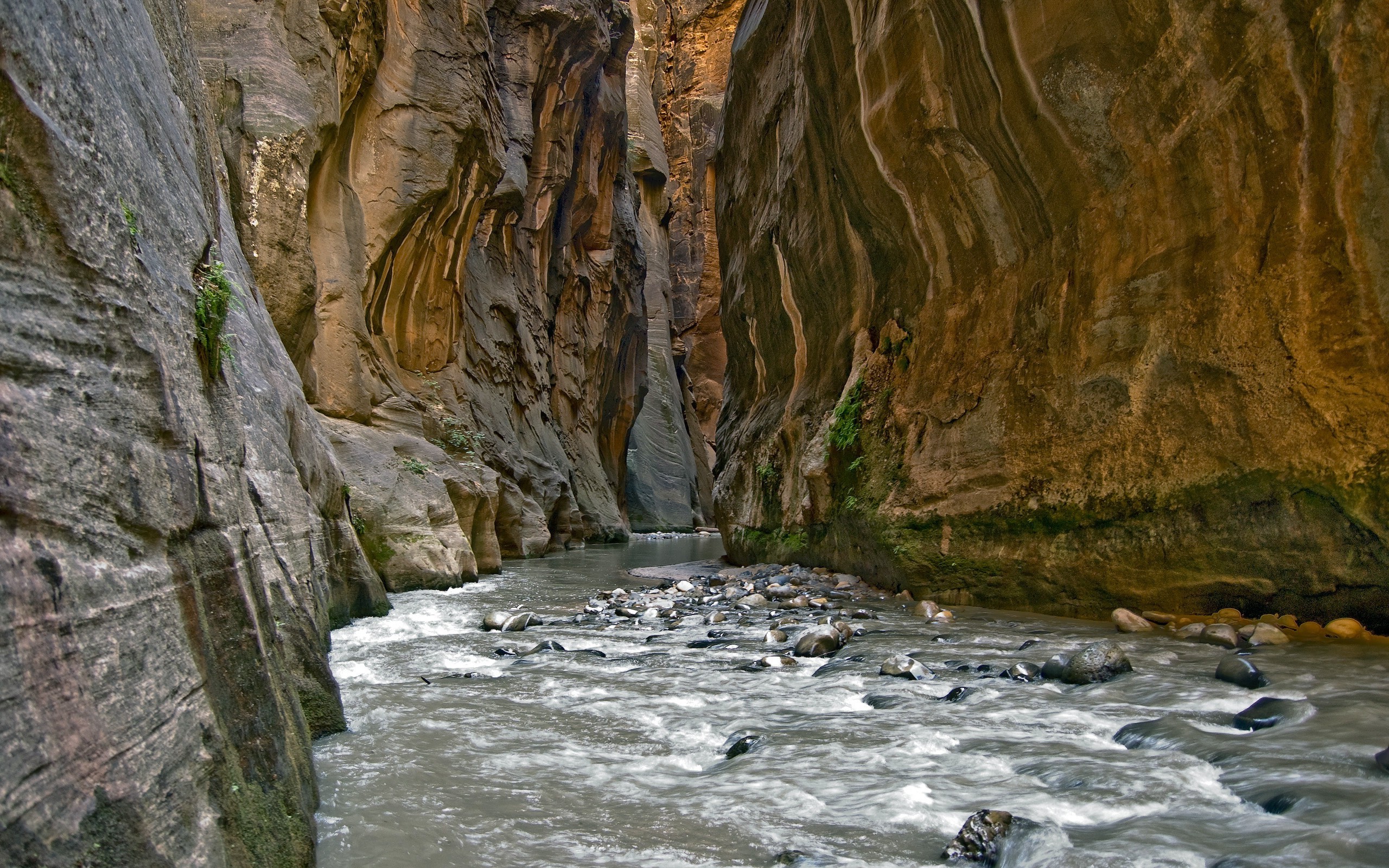 landscape, Water, Gorge Wallpaper