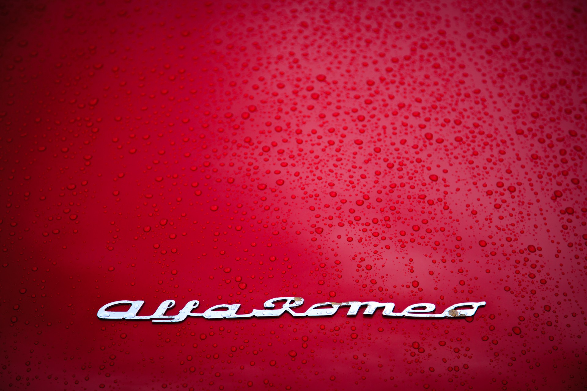 car, Alfa Romeo, Hood, Logo Wallpaper