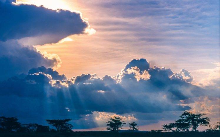 nature, Landscape, Sunset, Clouds, Trees, Savannah, Africa, Sun Rays, Sky, Blue, Space HD Wallpaper Desktop Background