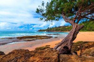 landscape, Nature, Kauai, Hawaii, Island, Beach, Sea, Clouds, Trees, Sand, Rock, Peninsulas