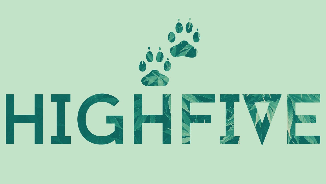 Highfive, Illustration, Typography, Grass Wallpaper