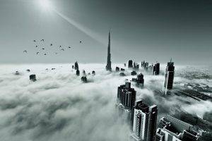 landscape, Dubai, United Arab Emirates, Mist, Skyscraper, Architecture, Sun Rays, Monochrome, Birds, Flying