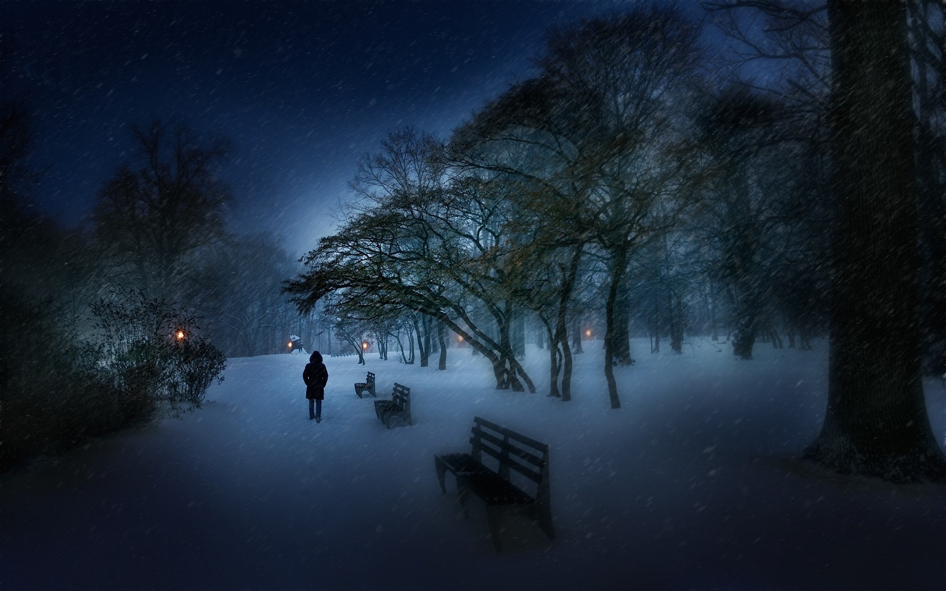 nature, Landscape, Snow, Park, Winter, Bench, Trees, Lights, Evening, Cold, Walking, Shrubs, Blue Wallpaper