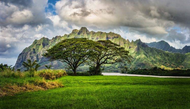 nature, Landscape, Trees, Mountain, River, Green, Clouds HD Wallpaper Desktop Background