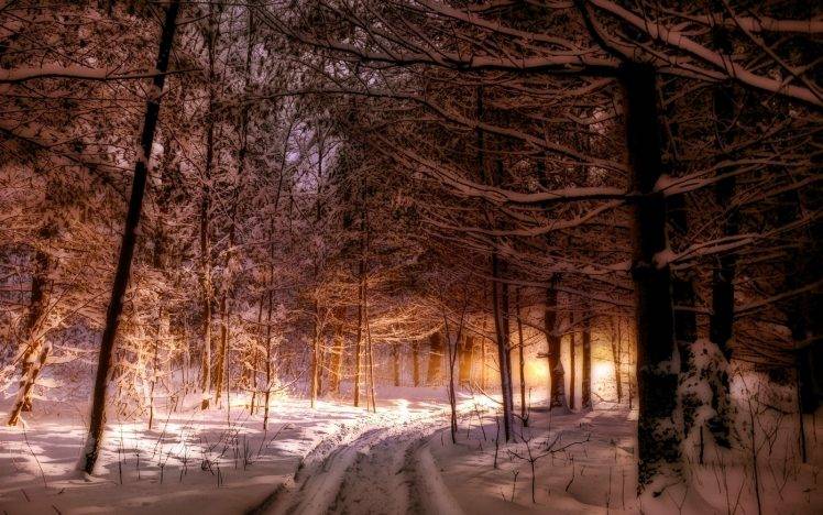nature, Landscape, Maine, Forest, Winter, Path, Snow, Trees, Sunlight HD Wallpaper Desktop Background