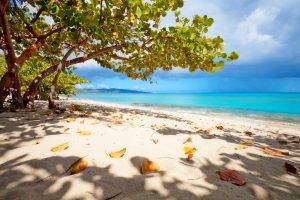 nature, Landscape, Virgin Islands, Beach, White, Sand, Trees, Leaves, Sea, Shadow, Clouds